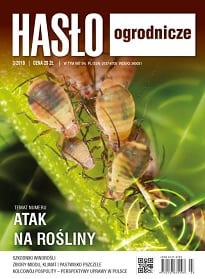 Hasło Ogrodnicze nr 3/2019