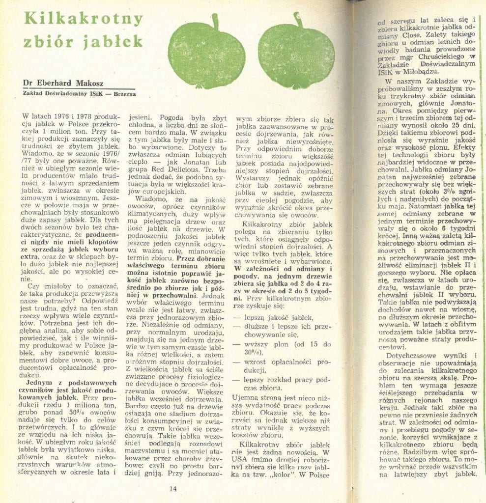 Z sadowniczego archiwum – 40 lat temu też połowa jabłek szła na „przemysł”