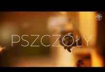 Pszczoły – jak pokazywać pozytywny obraz sadownictwa część 2