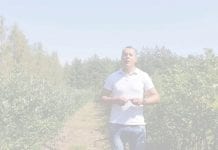 Komunikat borówkowy Timac Agro #04