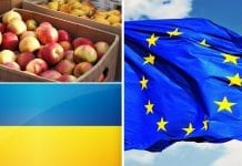 Eksport ukraińskich owoców i jagód