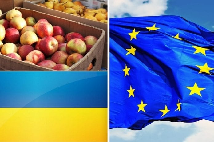 Zablokowany import ukraińskich owoców i warzyw do UE