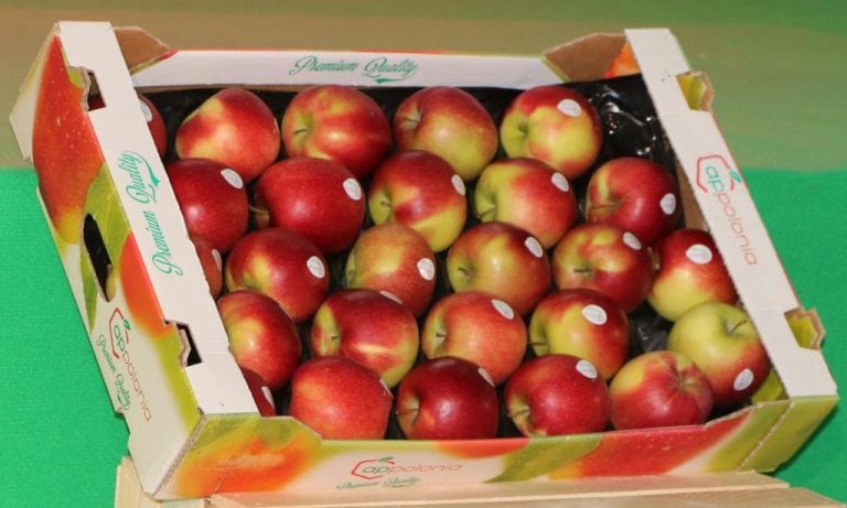 Wzrost cen i spadek konsumpcji owoców w Rosji