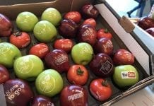 Fruit Logistica 2018