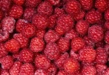 Ceny owoców: ZSRP apeluje do premiera o reakcję