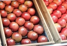 UOKiK: kontrole warzyw i owoców w sieciach handlowych w lutym 2020