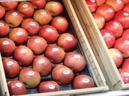 Jabłka w supermarkecie