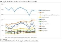 Prognozowana produkcja jabłek w UE 2019-20 spadnie o 19 %