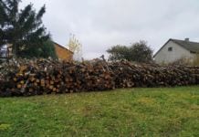 Sprzedam drewno – karczowanie starych kwater