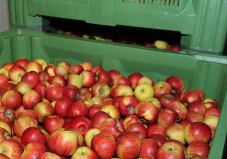 Wschód: Dość stabilne ceny jabłek w listopadzie