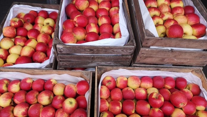 Jabłka - rynek hurtowy w Sandomierzu