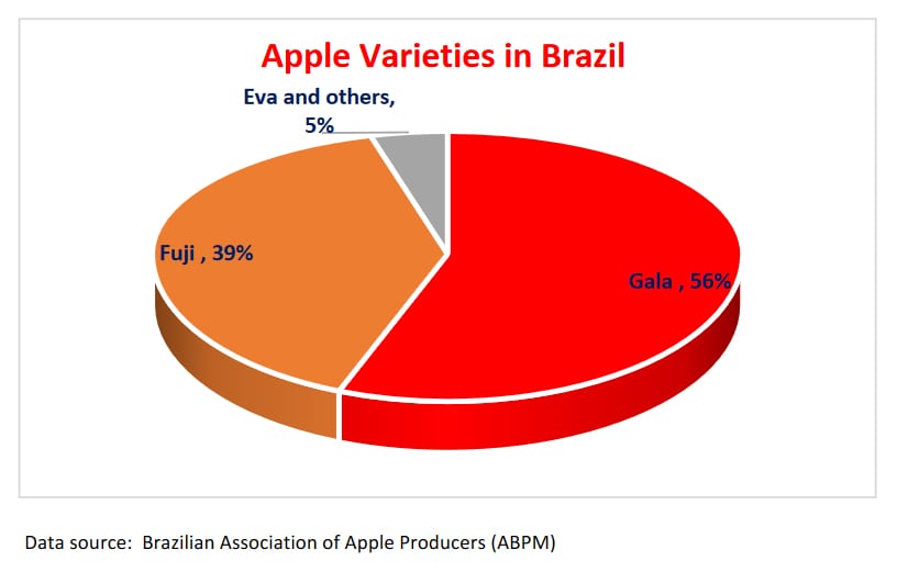 Produkcja jabłek w Brazylii