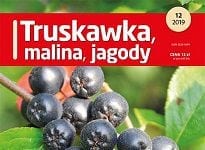 Truskawka, malina, jagody 12/2019