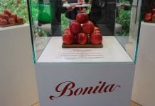 Odmiana Bonita® – charakterystyka