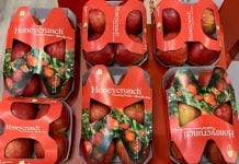 Dlaczego w Berlinie nikt nie mówił o jabłku przemysłowym? FruitLogistica 2020 już za nami!