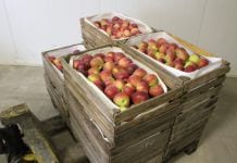 Zalecenia dla rolników sprzedających na targowiskach i bazarach