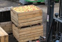 Jabłka przemysłowe – kolejne wzrosty cen. Co z deserem?