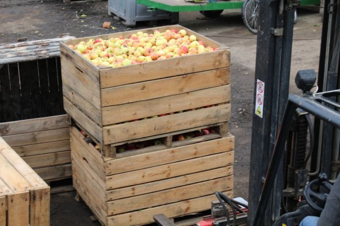 ceny jabłek przemysłowych 2020