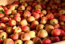 Raz na wozie, raz pod… Handel jabłkami wiosną 2020