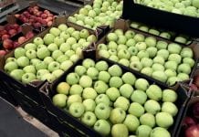 Ceny jabłek w grupach producenckich – nawet 2,50 zł/kg za popularne odmiany