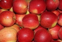 Kaufland skraca terminy płatności – czy sadownicy też mogą na to liczyć?