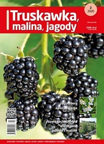 Truskawka Malina Jagody TMJ - okładka