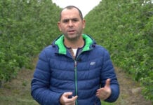 Aktualna sytuacja w sadzie w Białej Rawskiej, 30.05.2020