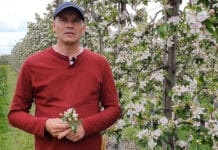 Komunikat sadowniczy – Robert Binkiewicz, Agrosimex 04.05.2020