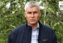 Komunikat sadowniczy Agrosimex z 28.05.2020 – Wzrost owoców – ochrona i pozostałe zabiegi