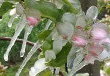 Nocą temperatura obniży się o ponad 20 stopni Celsjusza