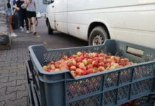 Czereśnie – ceny na Broniszach, 23.06.2020
