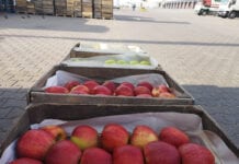 Ceny jabłek na Broniszach – relacja z rynku, 04.06.2020 [VIDEO]