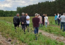 Czu uda się zaspokoić apetyt na borówki w nadchodzącym sezonie?