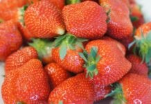 Pierwsze truskawki w Serbii droższe niż przed rokiem
