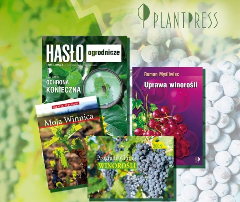 Uprawa winorośli – Pakiet „Winorośl i winnica” wydawnictwo Plantpress