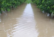 Skutki dzisiejszych nawałnic w powiecie rawskim