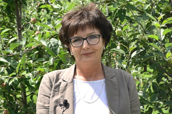 dr hab. Dorota Konopacka, Dyrektor Instytutu Ogrodnictwa w Skierniewicach