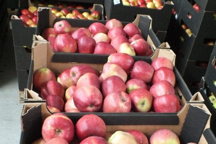 jablka market