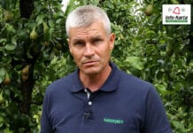 Komunikat sadowniczy GRUSZE – Robert Binkiewicz, Agrosimex, 27.07.2020