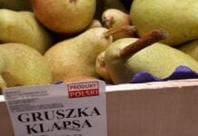 Czy w marketach może być już dojrzała polska Klapsa?
