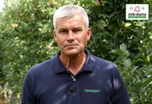 Komunikat sadowniczy – Robert Binkiewicz, Agrosimex, 27.08.2020