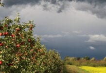 Jesienna pogoda opanowała całą Europę