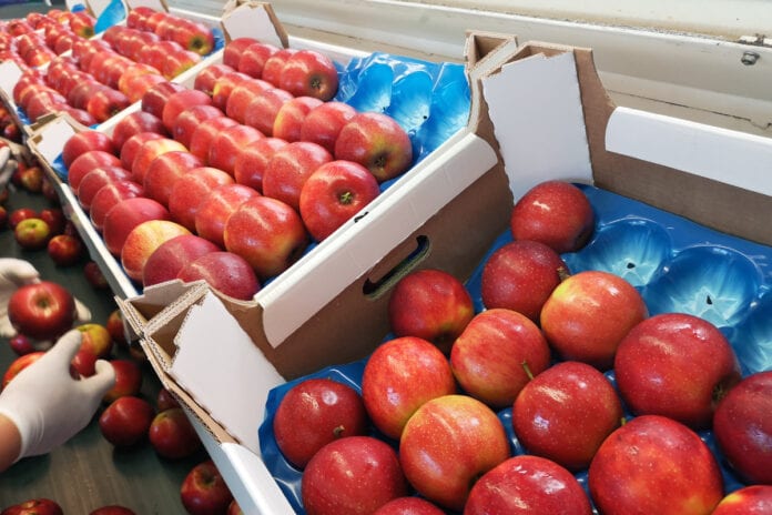 przygotowanie jabłek do sprzedaży