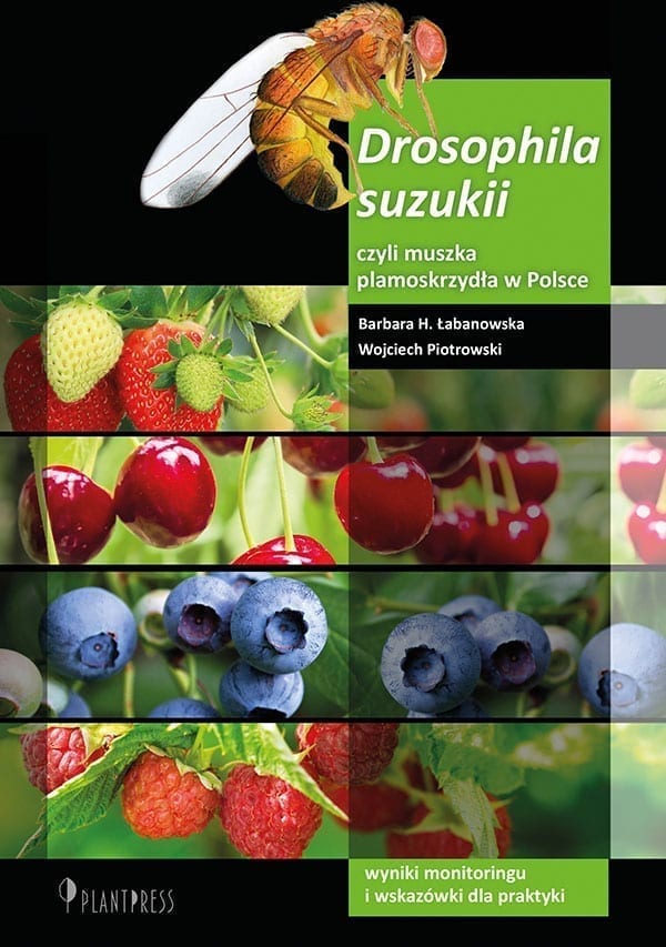 Drosophila suzukii, czyli muszka plamoskrzydła w Polsce. Wyniki monitoringu i wskazówki dla praktyki
