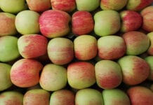 ceny jabłek