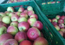 Walka z marketami – jak załatwił to niemiecki rolnik?