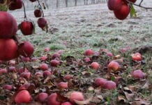 Gdzie możemy spodziewać się największego spadku temperatury?