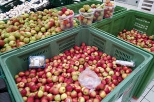 jabłka w markecie auchan
