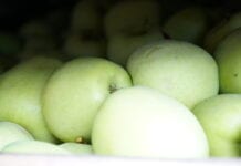 Wysokie ceny jabłek na węgierskich rynkach hurtowych
