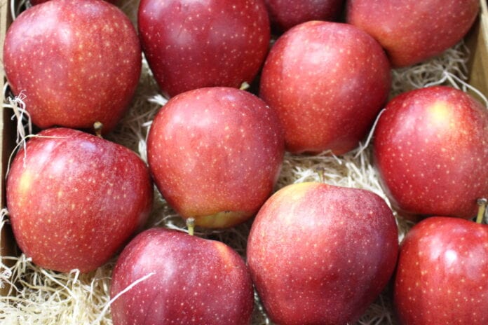 jabłka import